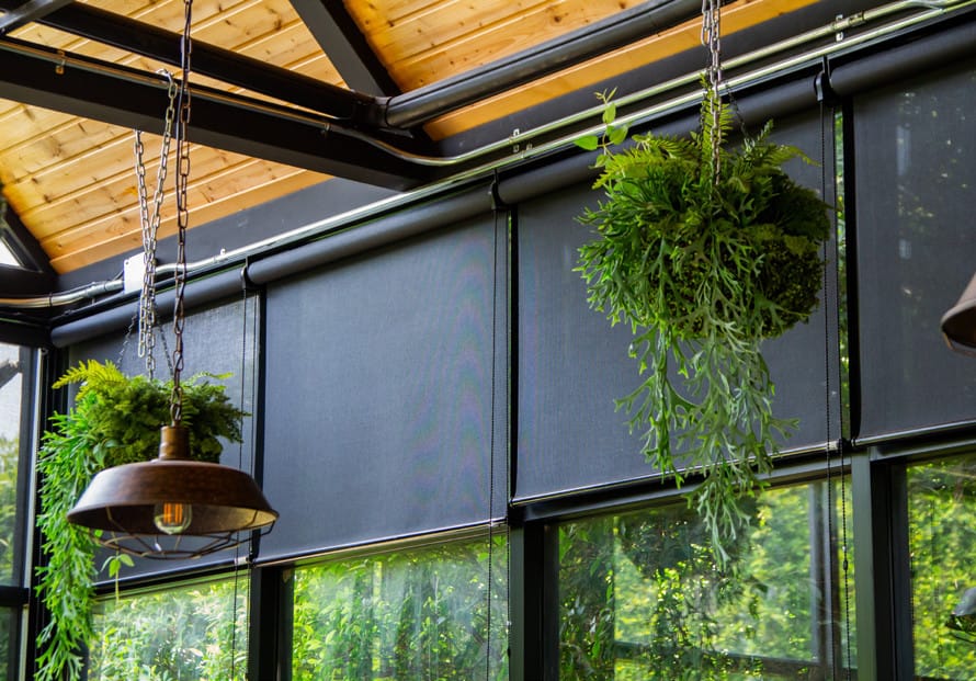 roller blinds installation tauranga